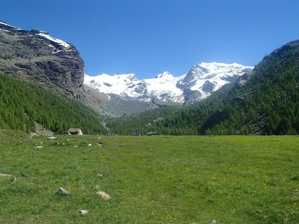 Residence Les Coupoles Champoluc Exterior photo